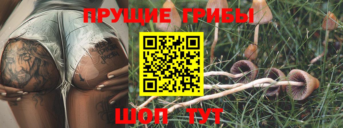 Галлюциногенные грибы Magic Shrooms Удомля